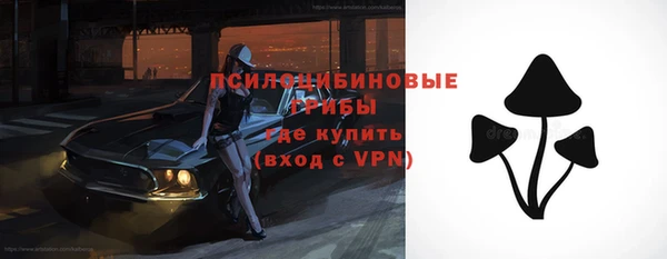 2c-b Абинск